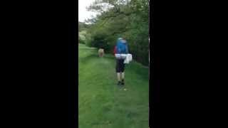 Gold DofE Group vs Cow