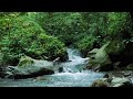 Calming Piano Music with Gentle River Flow 🌊 Stop Overthinking, Deep Relaxation & Night Sleep