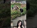 自動給水器 #ショート動画, #おすすめ, #バズり中, #今話題, #日本の日常 #music #song #love #trum #duet #korean #japan