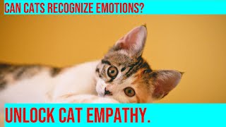 Can Cats Detect Human Emotions? | Science Explained by Purrfect Paws 74 views 2 months ago 4 minutes, 8 seconds