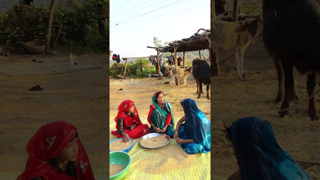 सकरात की लड़ाई 🤣 suscribe me guys 🙏 