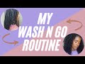 My Wash N Go Routine