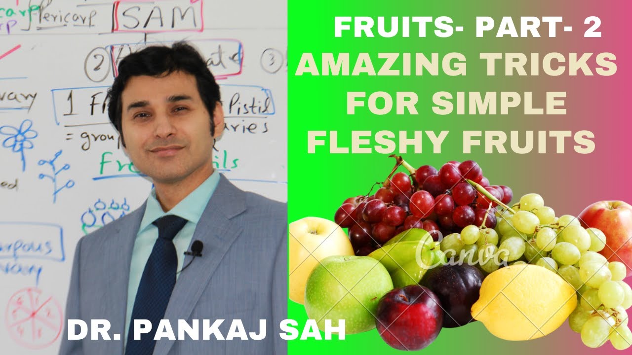 FRUITS - PART 2 (Simple- Fleshy and Dry Fruits) Learn & Memorize in 8 Minutes