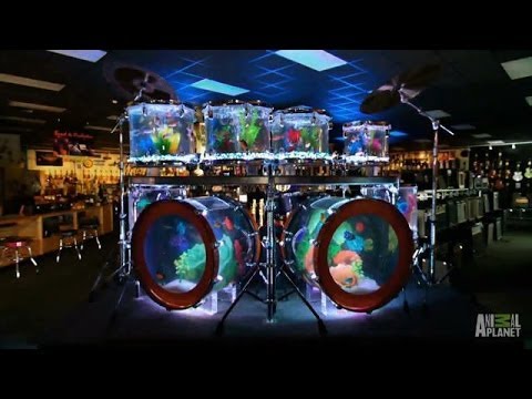 Aftershow: Drum Set and Volcano Tanks | Tanked - YouTube