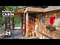 Building a cabin with improvisations 21 "Replanting trees"