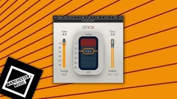 Waves Renaissance Vox: Why Is Everyone In Love With This Thing???