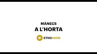 Download Lagu Mànecs a l'horta MP3