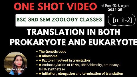 BSc 3rd sem zoology one shot video|Translation in prokaryote and eukaryote|unit -2|#bsc3rdsemester