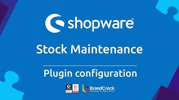 Shopware Plugin Stock Maintenance - BrandCrock GmbH