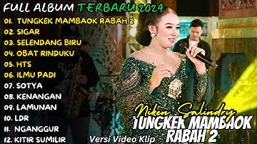 DANGDUT KOPLO TERBARU 2024| TUNGKEK MAMBAOK RABAH 2 |🎵 NIKEN SALINDRY FULL ALBUM |