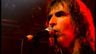 NEW MODEL ARMY - Long Goodbye (Proshot)