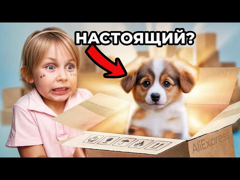 Видео: ЗАКАЗАЛИ СТРАННЫЕ ТОВАРЫ в ИНТЕРНЕТЕ! Распаковка