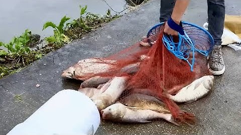 XCLOHAS Korean Chain Sinker Fishing Cast Net with Ring, Easy Throw Casting Net for Bait Fishes