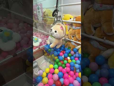 取りすぎちゃってごめんなさい🙇♂️ #shorts  #クレーンゲーム #ufoキャッチャー#ゲーセン #ゲームセンター  #arcade #clawmachine