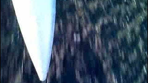 Acromaster multiplex crash