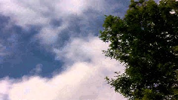 Raspberry Pi Timelapse Backyard