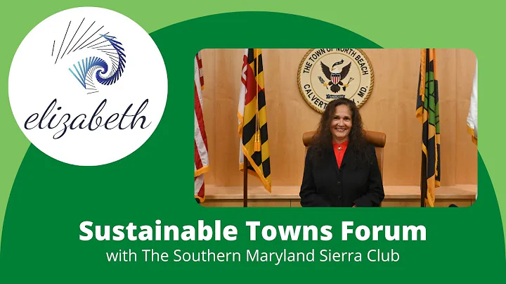Elizabeth Lawton: Sustainable Towns Panel Discussi...