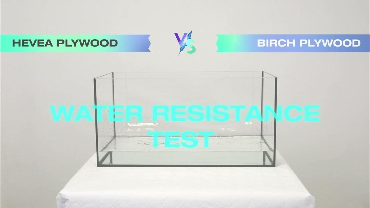 Water Resistance Test - HEVEA Plywood vs BIRCH Plywood - YouTube