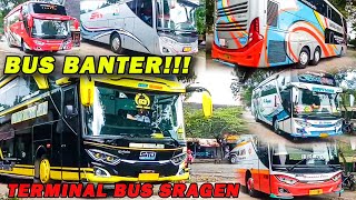 Hunting bus singkat di terminal pilangsari Sragen || Banyak bus Banter !!!