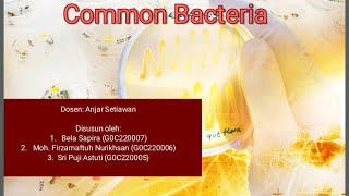 Presentation of common bacteria