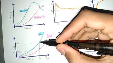 Mechanics of Tendons and Ligaments | Biomechanics