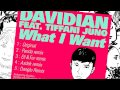 Davidian - What I Want (feat. Tiffani Juno) [Eli & Fur Remix]