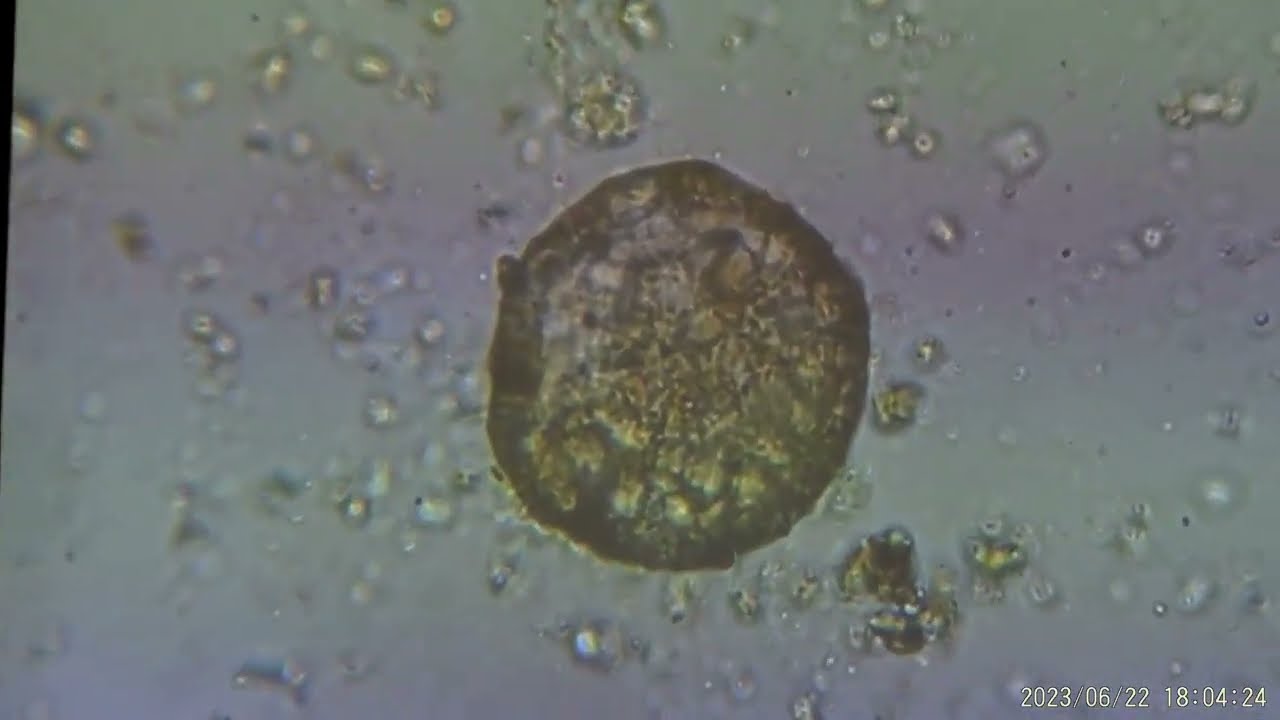 Tools of the Trade: Microbes Series with Dan Kittredge (Part 2 of 2)