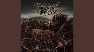 Human Decimation