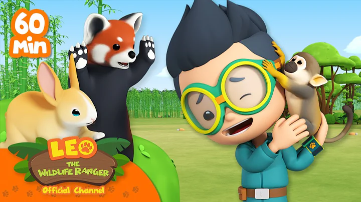 1 HOUR OF WILDLIFE! | Leo the Wildlife Ranger | Cartoons for Kids | #compilation