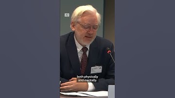 WikiLeaks founder Julian Assange