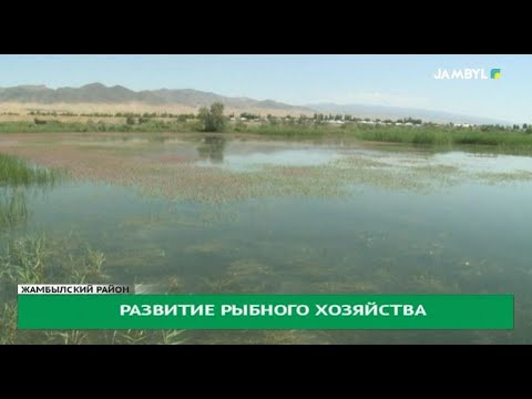 Развитие рыбного хозяйства