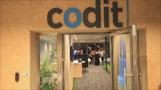 Mannequin Challenge at Christmas Party 2016 | Codit
