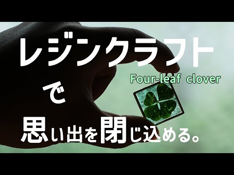 hqdefault.jpg