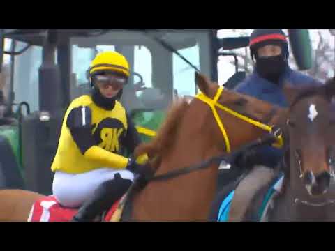 Aqueduct Equibase