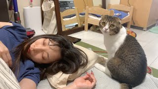 二度寝中のママに甘えるパパ猫