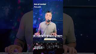 Sen Al Canimi - Mehmetce