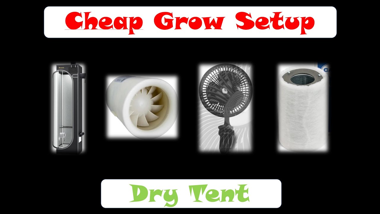 Cheap Dry Tent in 2025 – Cannabis Grow