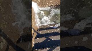 わかる?釣り人かなりひどい状況