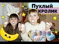 Очень Смешной Челлендж - Пухлый Кролик.