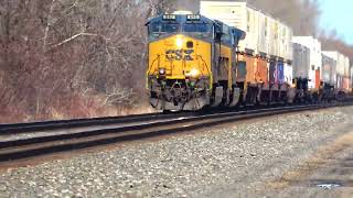 This Train Came Out Of Nowhere! Giant NS Welded Rail Train! Barking Seals on CSX Train + More Trains