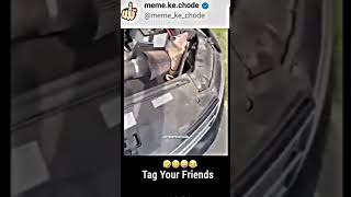 pelbis bhai #funnyvideo