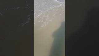 Cox's Bazar Beach in Slow Motion Video
