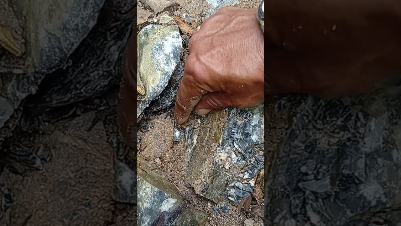 looking for gold in the fragments of marl rock⚒️ 