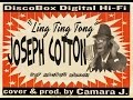 Ling Ting Tong - Joseph Cotton ( 357 magnum riddim reloaded)