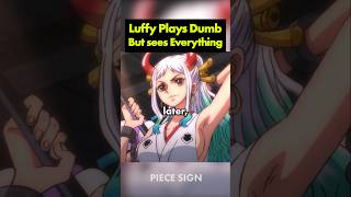 Luffy Plays Dumb, But Notices Everything