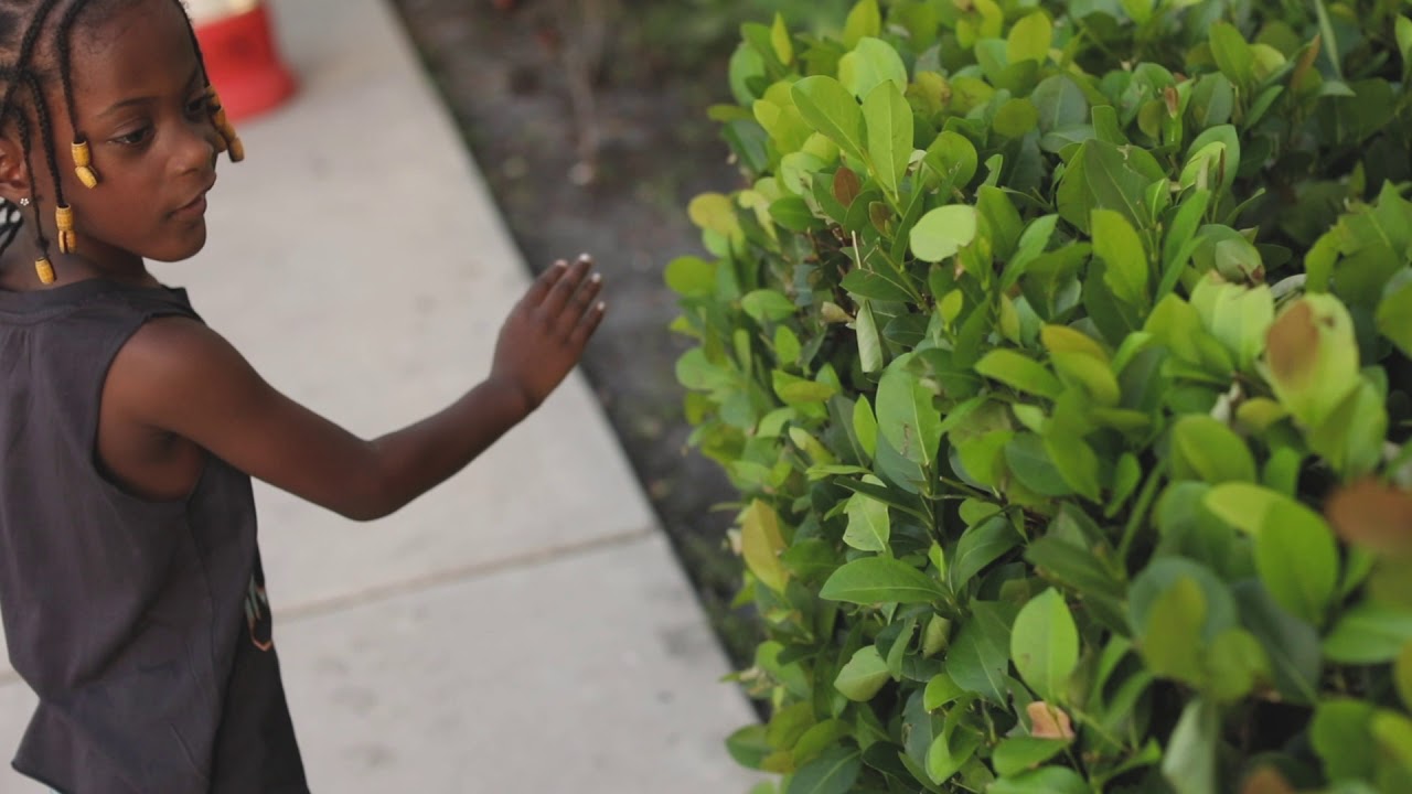 Nayvia Summer '18 \\ South Florida Photographer + Videographer