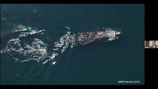 We Are All Whalers Book Talk with Michael Moore