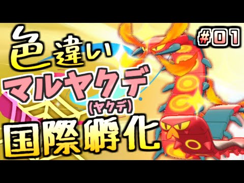 ポケモン ソード シールド 国際 孵化