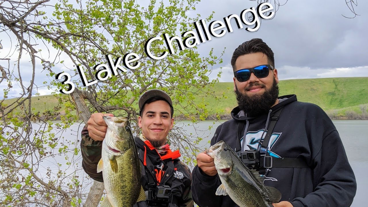 Los Banos "Forebay" "Reservoir" "Creek" Fishing