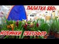 Светофор крутые НОВИНКИ для дома,сада, отдыха! посуда, палатка ! 2019